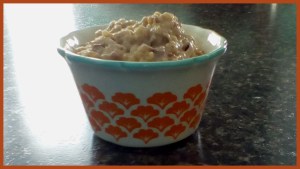 creamy crockpot cranberry oatmeal