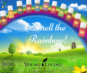Everyday oils-smell rainbow