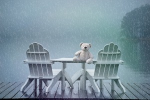 teddy bear in rain