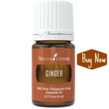 ginger-buy-now