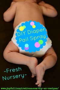 diy-diaper-pail-spray