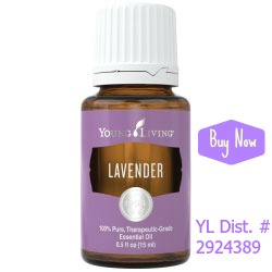 lavender-buy-now